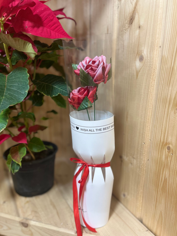 گل رز روبانی طرح گل یخ